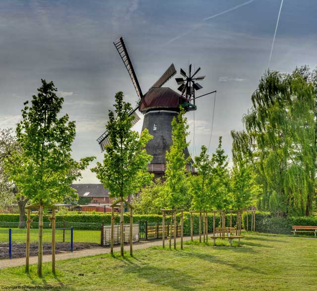 Jemgum Mühle Windmühle
