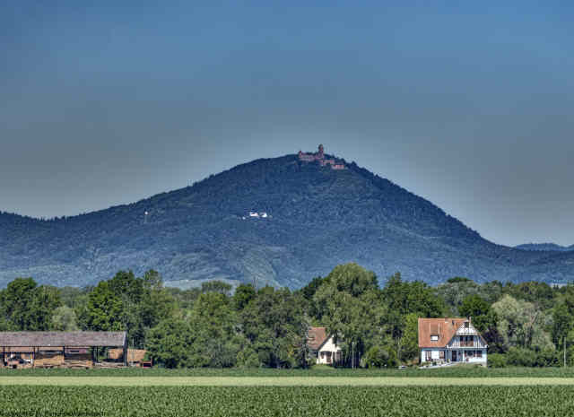 Château du Haut-Koenigsburg - Hohkönigsburg 01