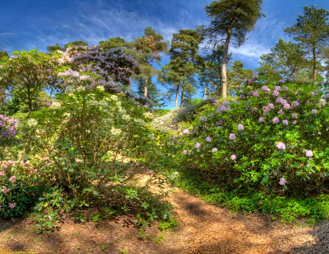 Westerstede Petersfeld Rhododendronpark Hobbie